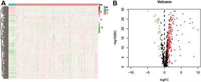 Identification of Epithelial-Mesenchymal Transition-Related lncRNAs that Associated With the Prognosis and Immune Microenvironment in Colorectal Cancer